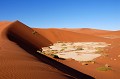 L'oxyde de fer contenu dans le sol donne aux dunes de Sossusvlei des couleurs incomparables. Selon l'intensité du soleil, aux différentes heures de la journée, les paysages épousent la couleur abricot, puis le rouge vif, l'ocre et enfin le mauve... dunes,sossusvlei,namibie,afrique. 