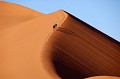A Sossusvlei, la plus haute dune atteint 325 mètres. Celle figurant sur cette vue ne dépasse guère 150 mètres. Son escalade, sous des températures élevées n'est pas des plus aisées. La montée est ardue, le sable se dérobe sous les pieds, l'arrête est d'une finesse impressionnante. Au sommet, la vision est inoubliable... soussusvlei,dune,rouge,namibie,afrique. 