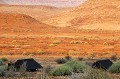 Installé dans la région de Palmwag, au nord du Damaraland, dans les contreforts du massif Grootberg, ce camp fait face à un paysage de roches rouges époustouflant ! Dans ce décor de bout du monde, on peut observer, avec un peu de chance, les rhinocéros noirs et les éléphants du désert... 
 etendeka,mountain,palmwag,namibie,afrique. 