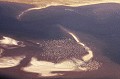Vue aérienne sur Sandwich Harbour : sa baie et ses bancs de sable en font un site idéal pour les Flamants roses. flamants,roses,namibie,afrique. 
