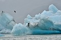  jokulsarlon,islande. 