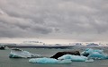 Jökulsarlon est le plus célèbre lac glacière d'Islande. Il est situé au sud du glacier Vatnajökull. Sa profondeur est de 260 mètres. Important site touristique, il est également très prisé par les cinéastes qui ont tourné deux films de la série James Bond ainsi qu'un film de la série Batman... jokulsarlon,islande. 