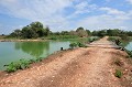  pantanal,bresil. 