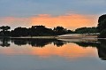 La découverte du Pantanal peut se faire par la voie fluviale (le fleuve Paraguay, à partir de Corumba et la rivière Cuiabá à partir de Porto Jofre), ou la voie terrestre, via la transpantaneira, à partir de Porto Jofre ou Cuiabá. cuiaba,riviere,pantanal,bresil. 