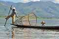 Le lac Inlé est situé à 875 mètres d'altitude. C'est un lac d'eau douce, d'une superficie de 120 km2 et d'une profondeur, selon les lieux et les saisons, de 2 à 6 mètres. Il est peuplé par les Inthas au nombre de 80 0000, appelés aussi "fils du lac", qui sont soit pêcheurs, soit agriculteurs... lac,inle,myanmar,birmanie. 