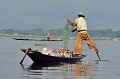 Les pêcheurs abandonnent peu à peu la méthode de pêche traditionnelle, à partir de la nasse et utilisent aujourd'hui le filet, notamment la technique dite de pêche à l'épervier... On observera que le pêcheur rame avec le pied, pour garder les mains libres et s'occuper de son filet... lac,inle,myanmar,birmanie. 