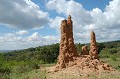 Sur la route du sud, entre Yrgalem et Yabello, une imposante et majestueuse termitière. termitiere,ethiopie. 