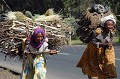A la campagne, la femme éthiopienne doit faire face à de multiples tâches : élever les enfants, faire la cuisine, traire les animaux, assurer la corvée de bois et d'eau, vendre sa production agricole au marché... A la sortie d'Addis Abeba, rencontre avec des paysannes de l'ethnie Oromo, portant des fagots de bois d'eucalyptus et de la bouse séchée. Ces matériaux servent de combustibles ou sont destinés à la construction des cases. Danger ! Les forêts d'eucalyptus sont maintenant presque toutes dévastées... oromo,ethiopie. 