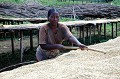 Le café constitue le pilier du commerce extérieur de l'Ethiopie. Entre Yrgalem et Yabello, on découvre de nombreuses plantations de café et exploitations industrielles et artisanales, telle l'entreprise Adji Djouar, où le café est lavé, trié, avant d'être expédié à l'étranger où il sera torréfié et commercialisé. oromo,plantation,cafe,ethiopie. 