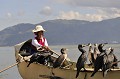 Les chinois pratiquent la pêche au Cormoran depuis des siècles. Ils sont champions du monde de la spécialité devant les japonais. Sur le lac Erhai à Dali, la minorité Bai maintient la tradition... cormoran,peche,chine. 