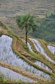  paysage,yunnan,chine. 