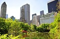  central,park,manhattan,new,york. 