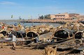 La ville de Mopti est située au confluent du Niger et de son affluent le Bani. Petit port de pêche à l'origine, fondé par l'ethnie Bozo, Mopti est devenue cosmopolite à la suite de forts mouvements migratoires et rassemble aujourd'hui une population de 115 000 habitants. C'est un port très actif où transitent personnes et biens. C'est aussi le lieu où sont fabriquées les pirogues et les pinasses... Mopti,mali,afrique. 