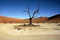 A Sossusvlei, au cœur du désert du Namib, se trouve la vallée de la mort (deadvlei) : un vieux lac salé asséché, entouré de dunes ocres, sur lequel quelques acacias, brûlés par le soleil, âgés de 5siècles, tentent de donner vie à ce décor minéral, d'une éblouissante beauté. vallee,mort,namib,sossusvlei,namibie. 