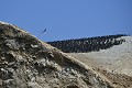S'il est possible de naviguer autour de la réserve, il est interdit d'y accoster. Depuis la mer, on peut apercevoir des milliers d'oiseaux posés sur les falaises. Sur cette vue figure une colonie de Cormorans de Bougainville (Leucocarbo bougainvillii) iles,ballestas,paracas,perou. 