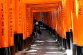 A Kyôto, 10 000 torii, formant un long corridor sur plusieurs kilomètres conduisent au sanctuaire Fushimi Inari, dédié à la déesse du riz Inari et plus largement à la richesse. Les Torii ont été financés par les hommes d'affaires et les entreprises et leurs noms inscrits sur les piliers. Le sanctuaire est aussi appelé  temple du renard. Cet animal est considéré comme le messager d'Inari et le gardien du temple... kyoto,sanctuaire,fushimi,inari,japon. 