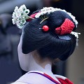  coiffure,geisha,kyoto,japon. 