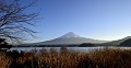 Du haut de ses 3776 mètres, le Mont Fuji domine l'archipel du Japon. Montagne sacrée pour les shintoïstes et les bouddhistes, il fait l'objet d'un véritable culte par l'ensemble de la population. L'été, pèlerins et touristes escaladent la montagne mythique pour lui rendre hommage, mais aussi pour assister depuis le sommet, au lever du soleil. Instant magique ! Le Mont Fuji a servi de thème à de nombreuses oeuvres picturales et littéraires. mont,fuji,japon. 