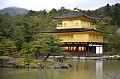 Le Pavillon d'or appelé "Kinkaku-Ji" à Kyôto flotte au dessus d'un miroir d'eau. Il est considéré comme le symbole de la beauté absolue. Edifié en 1937, il a d'abord été la résidence d'un général (shogun), avant de devenir à son décès en 1408, un temple zen. Incendié par un jeune moine en 1950, qui alléguera n'avoir pu supporter la présence de tant de beauté, dans un monde si imparfait, il a été reconstruit à l'identique et s'affiche au milieu d'un somptueux jardin où de nombreux pins incarnent la longévité et aussi la permanence sur l'océan du monde. pavillon,or,kyoto,japon. 