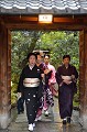 Sortie de l'Okiya (école de formation des Geisha). La Geisha que l'on aperçoit en arrière plan part au travail. Elle accompagne une clientèle aisée (politiciens, hommes d'affaires...) dans une maison de thé ou un restaurant, où elle incarne avec distinction et grâce le rôle d'ambassadrice des arts traditionnels japonais. geisha,kyoto. 