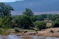  masai,mara,kenya. 